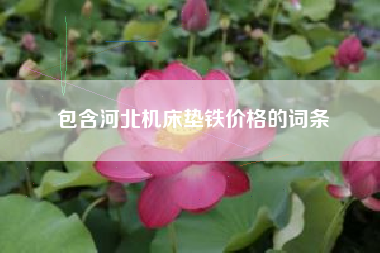 包含河北機床墊鐵價格的詞條